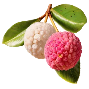 Summery Lychee PNG 86