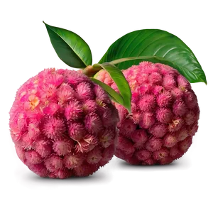 Summery Lychee PNG Jno