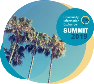 Summit2019 Palm Trees Backdrop PNG image