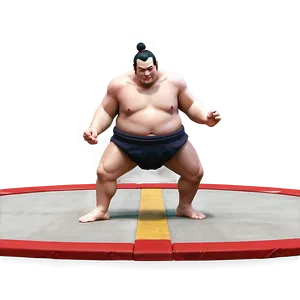 Sumo Wrestling Ring Traditional PNG 35