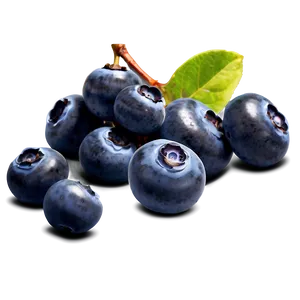 Sun-kissed Blueberries PNG 63