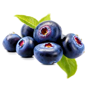 Sun-kissed Blueberries PNG Ujg