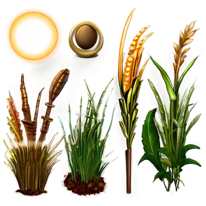 Sun-loving Grass PNG Mvj PNG