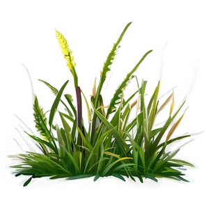 Sun-loving Grass PNG Prm92 PNG