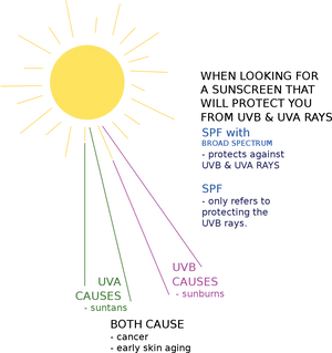 Sun Protection Factors Explained PNG image