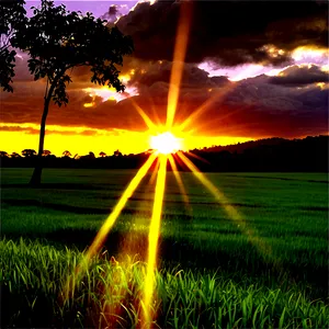 Sun Rays In Morning PNG 05242024