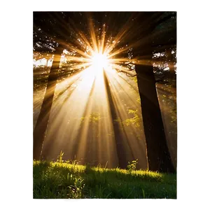 Sun Rays In Morning PNG 44