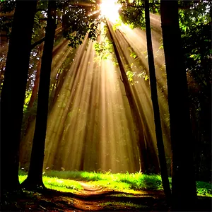 Sun Rays In Morning PNG 77