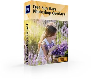 Sun Rays Photoshop Overlays Promotion PNG image