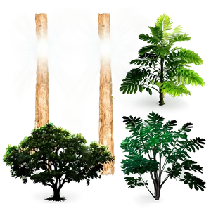 Sun Rays Through Trees Png Dxy PNG image