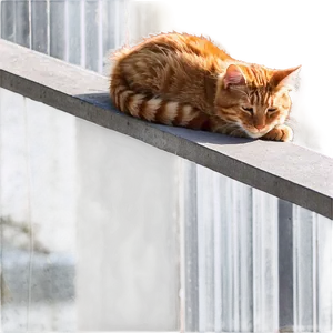 Sunbathing Cat Meme Png 05212024 PNG image
