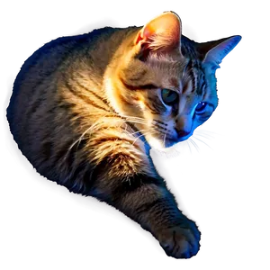 Sunbathing Cat Meme PNG 91 PNG