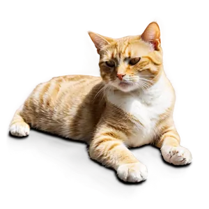 Sunbathing Cat Meme PNG Cme19 PNG