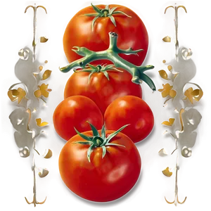 Sunblush Tomatoes PNG Oae55 PNG
