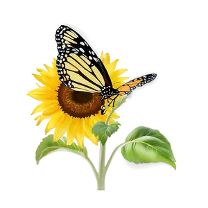 Sunflower And Butterfly PNG 05032024 PNG