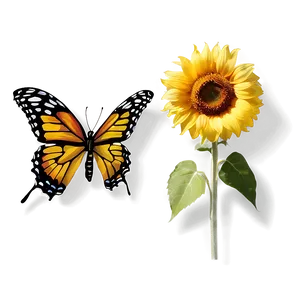 Sunflower And Butterfly PNG 05252024