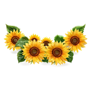 Sunflower Banner Png 76 PNG image
