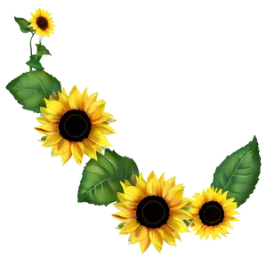 Sunflower Banner Png Ouk PNG image