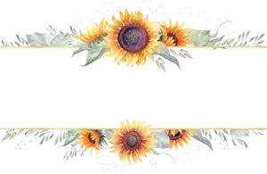 Sunflower_ Border_ Design