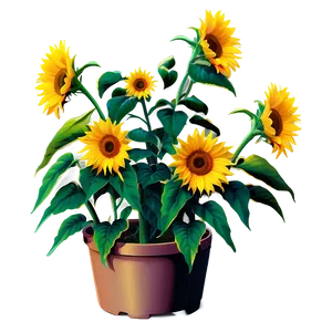 Sunflower Bush PNG Mfc93 PNG
