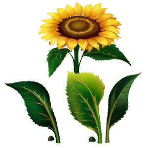 Sunflower Clipart Collection PNG 47 PNG