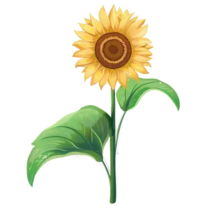 Sunflower Clipart PNG 30