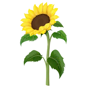 Sunflower Clipart PNG Not1 PNG