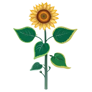 Sunflower Drawing Transparent PNG Cxw