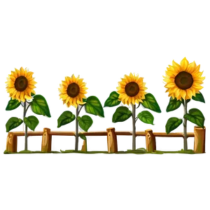 Sunflower Farm Landscape PNG 05252024