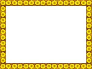 Sunflower Frame Black Background