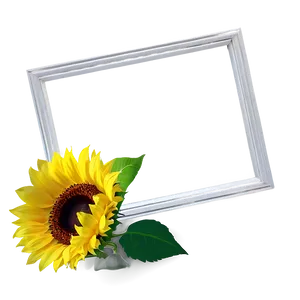 Sunflower Frame PNG 19