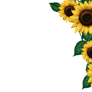 Sunflower Frame PNG 46