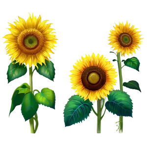 Sunflower Garden PNG Uek