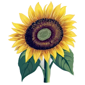 Sunflower Graphic Transparent Png 65 PNG image