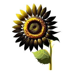 Sunflower Head Silhouette PNG Mgf43 PNG