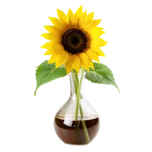 Sunflower In Vase PNG 81 PNG