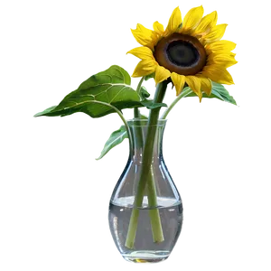 Sunflower In Vase PNG Hbe