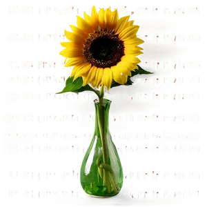 Sunflower In Vase PNG Rqp63 PNG