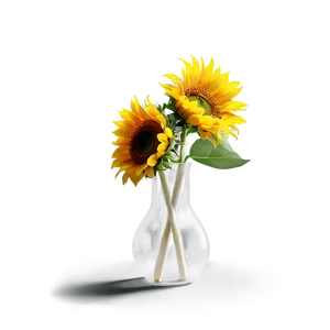 Sunflower In Vase PNG Vcl