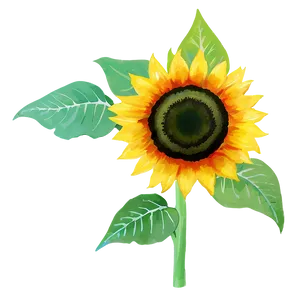 Sunflower In Watercolor Style PNG Dpd