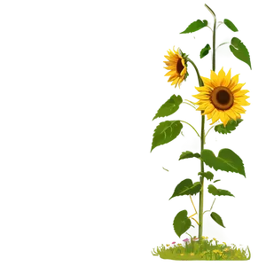 Sunflower In Wind PNG 05252024 PNG