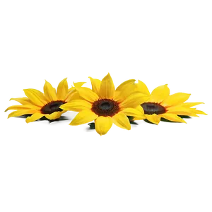 Sunflower Petals Png 35 PNG image
