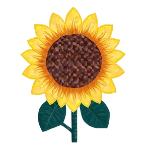 Sunflower Quilt Pattern PNG Rte PNG
