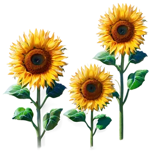 Sunflower Seedling PNG Jqr PNG