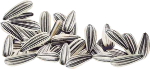 Sunflower Seeds Cluster.png PNG image