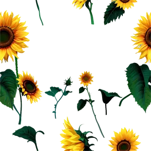 Sunflower Silhouette PNG Wof