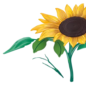 Sunflower Sketch PNG 94