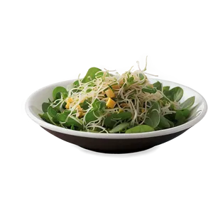 Sunflower Sprout Salad PNG 05232024 PNG