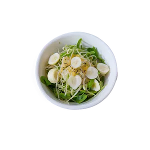 Sunflower Sprout Salad PNG 05232024 PNG