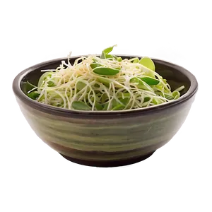 Sunflower Sprout Salad PNG 89 PNG